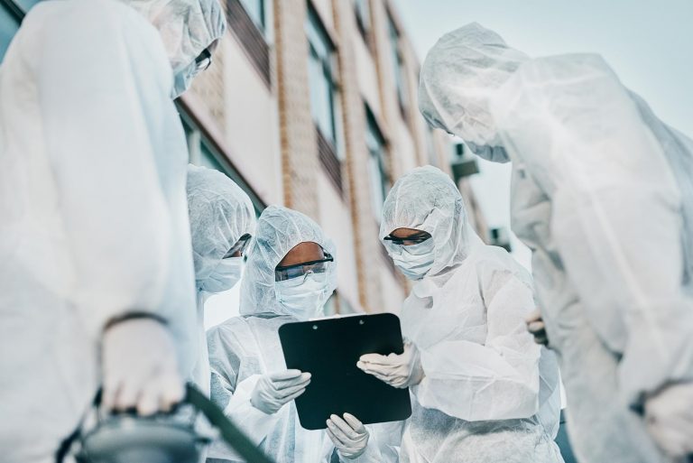 Schädlingsbekämpfung in Berlin: Der Report 2025 und wie Sie vorbeugen